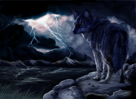 Order of the Wolf's Display Picture